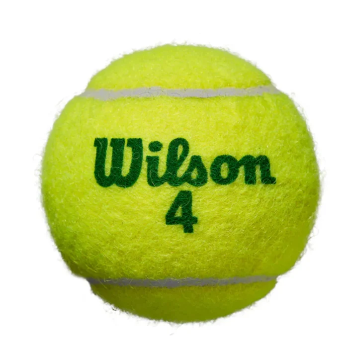 Wilson Starter Play Ball 4X